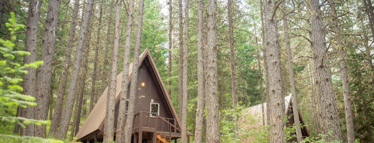 A-Framed Cabin surrounded by tall pine trees with wooded trail leading to front door