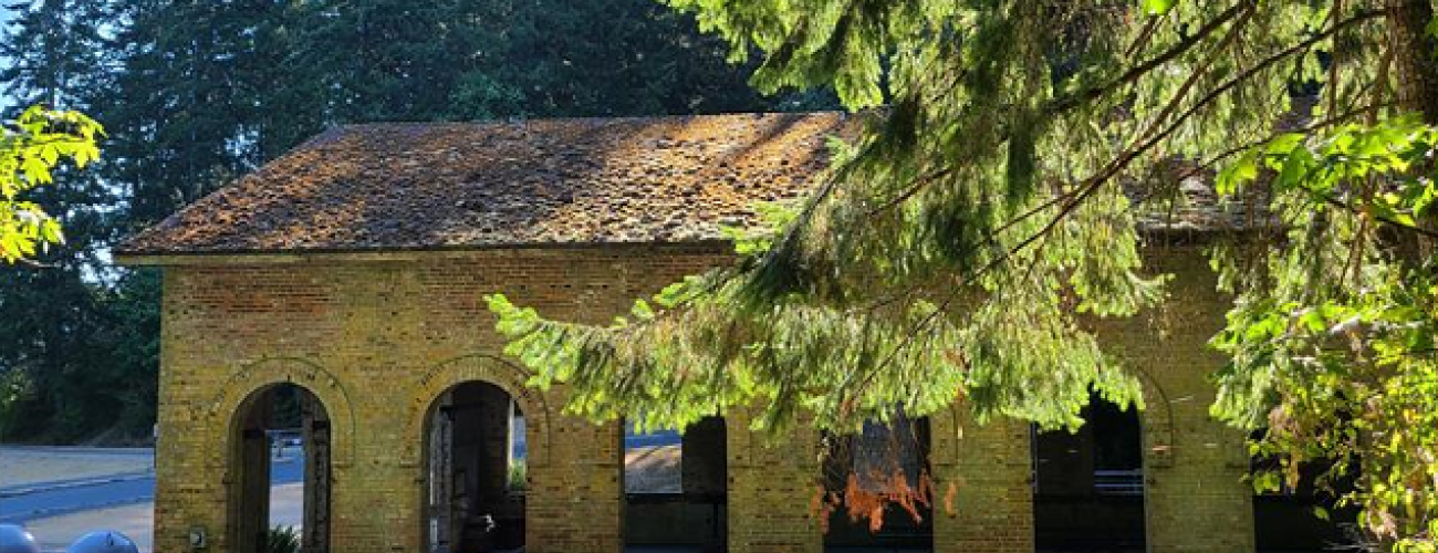 Manchester Torpedo Warehouse Exterior Side with trees