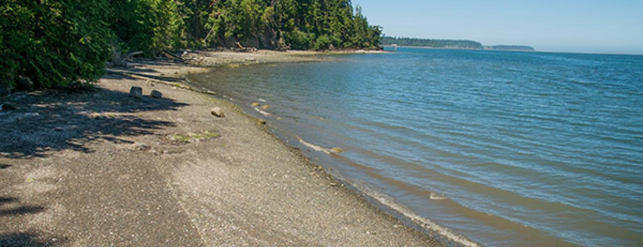 The rocky shoreline of Sequim Bay.