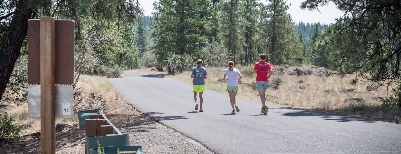 Three joggers run in the sunshine along a paved road through trees and a rocky field.