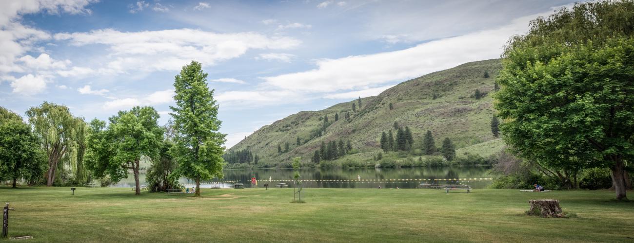 Grassy lawn scattered with full, green trees and picnic tables leading to the water's edge with a buoy swim line calmly sitting on the water.