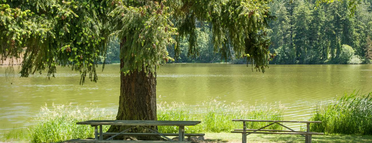 Anderson Lake picnic area.