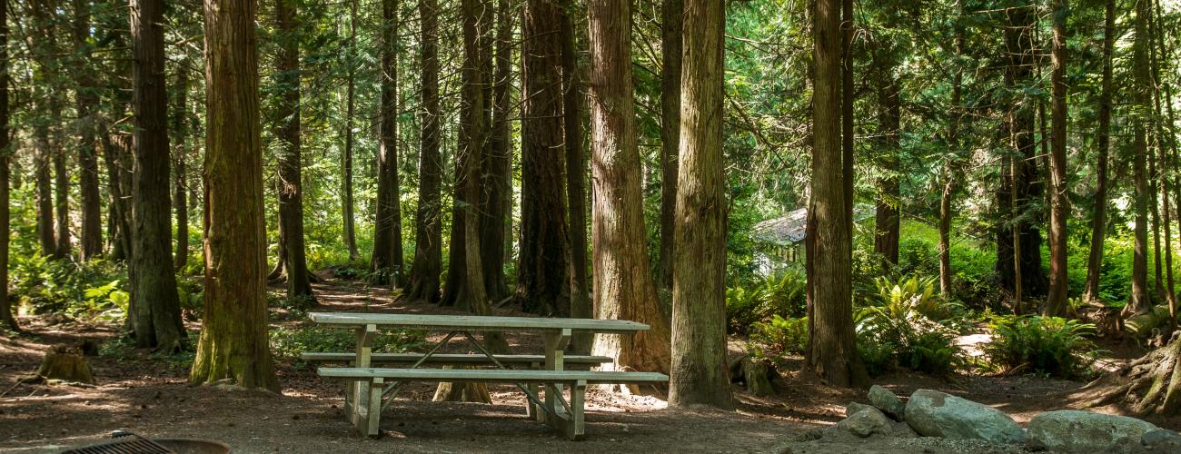 Campsite at Fort Flagler.