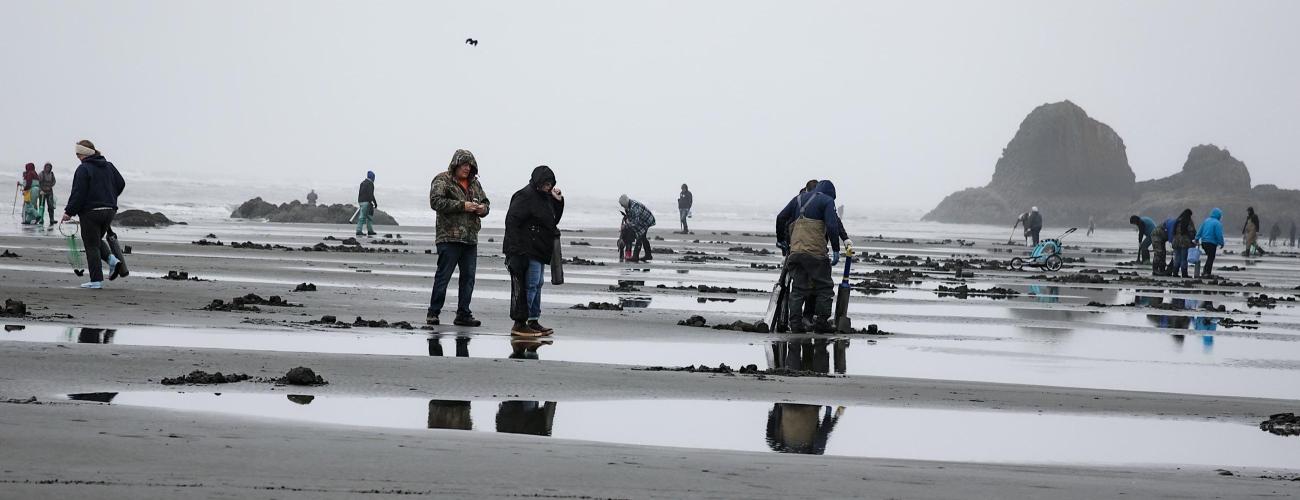 Clam digging scenic shot