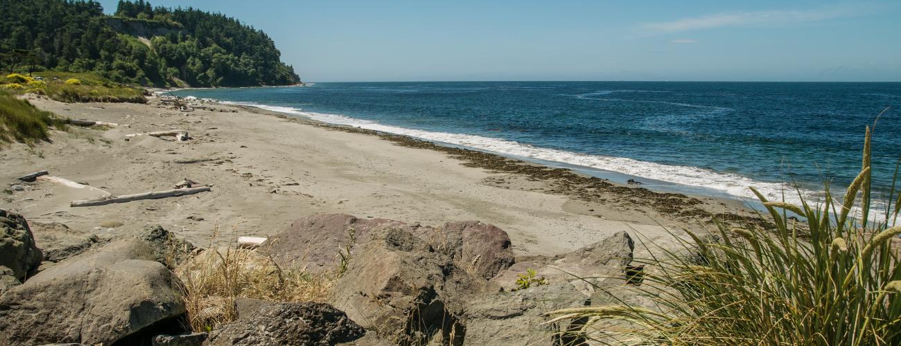 A view over rocks at the sandy beach with seaweed at the water's edge of the Strait of Juan de Fuca with a blue sky and treed hillside to the left.