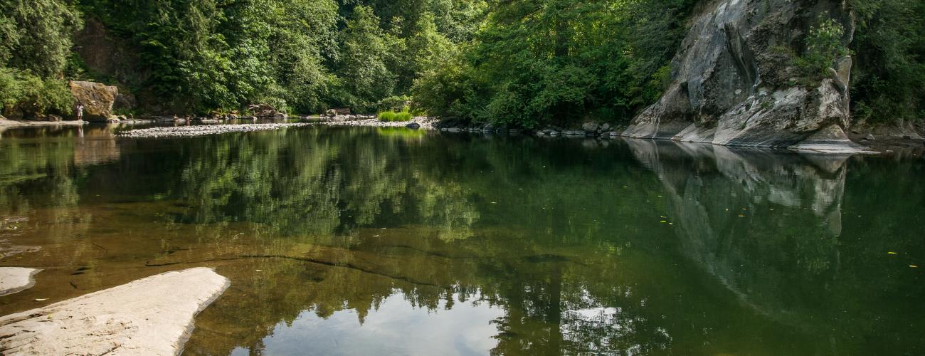 Looking over the calm, brown and green river with large rocks poking through the water. Evergreen trees are down river with a blue sky in the background.. 