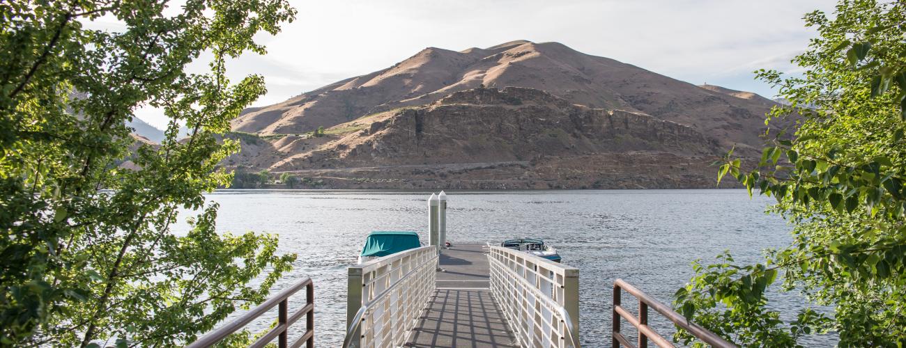 Green leafy trees surround the entrance to the dock ramp with boats tied up to the dock with a brown hillside across the water and a cloudy sky. 