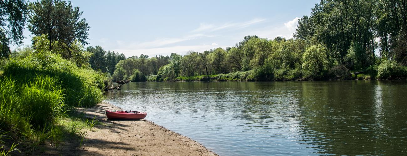 A red kayak sits on the sandy beach next to a river with small ripples reflecting the green trees and blue sky. Tall, green grass lines the edge of the sandy beach. 