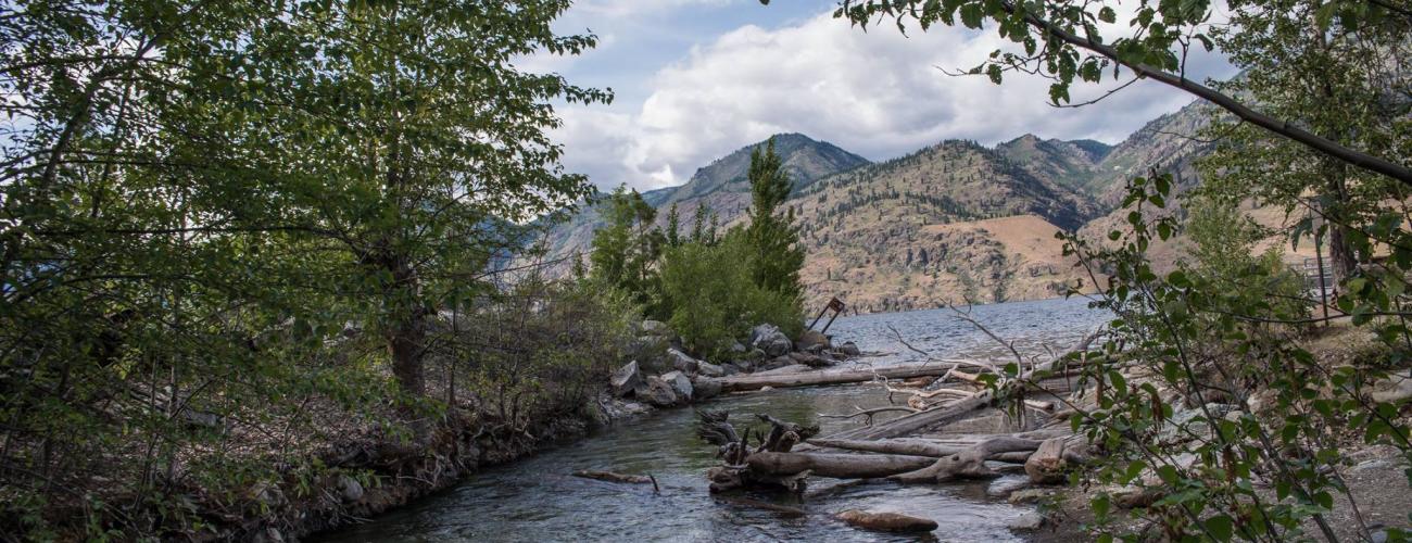 Stream with log jam with mountains in background