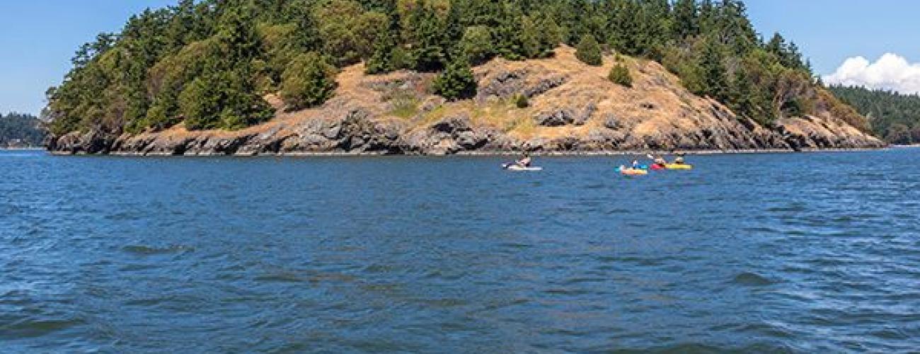 Skagit Island from a distance 