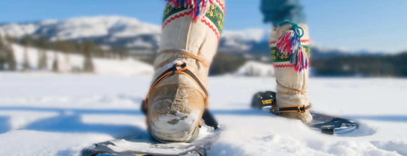 Colorful boot in snowshoe