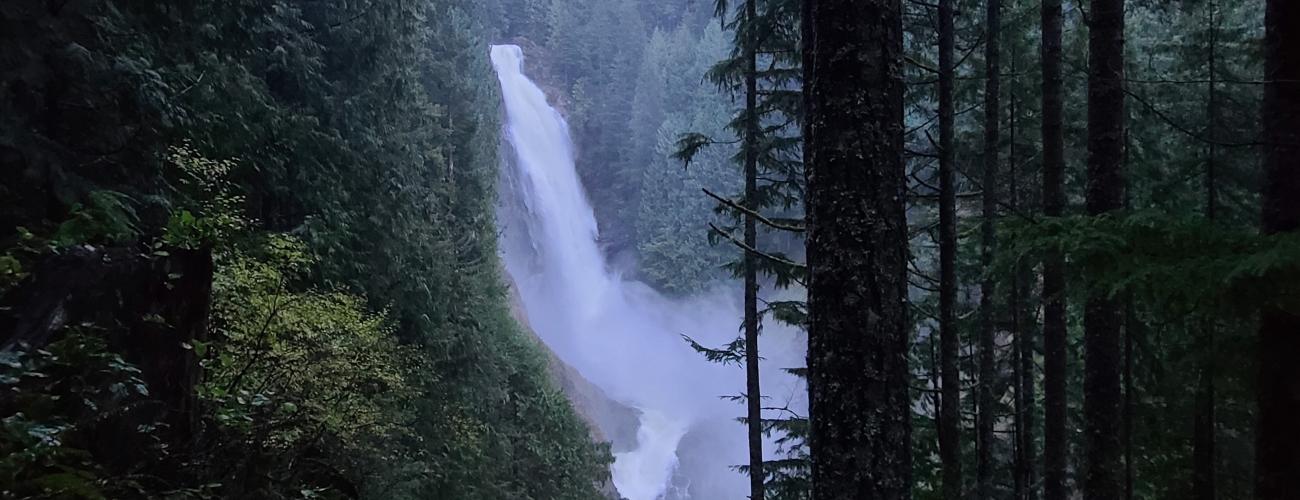 Large waterfall and green trees