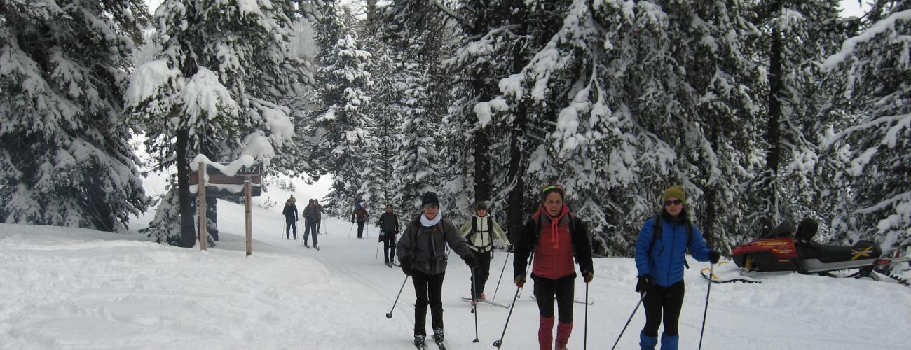 cross-country skiers on a groomed trail at a sno-park