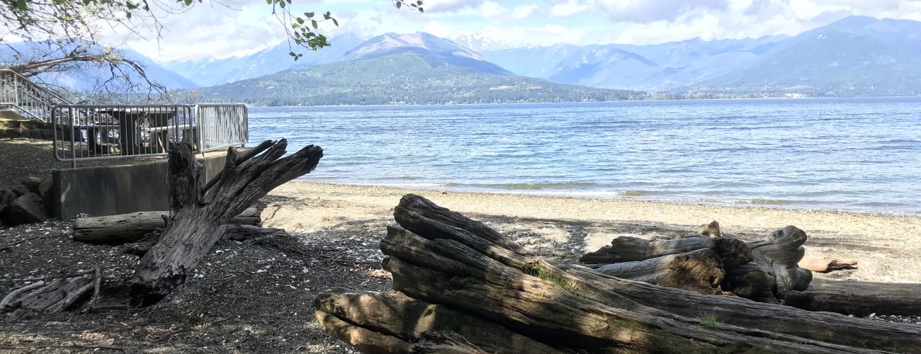 Driftwood on pebble beach, rolling green mountains under white clouds.