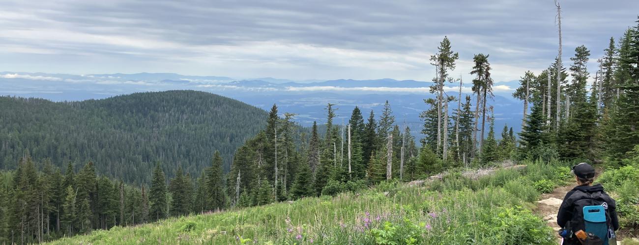 Hiker with a black sweater and blue backpack, on a dirt trail through a grassy area overlooking pine trees, green hills, and a cloudy sky.  