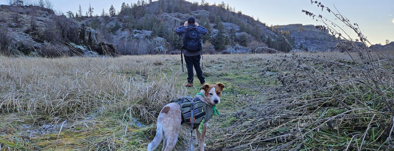 Dog on leash standing in front of hiker.  Canyon walls with trees.