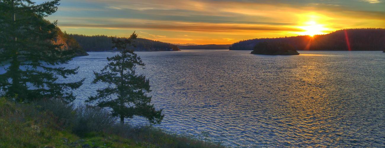 Sunset view of the ocean with evergreen trees on the shore