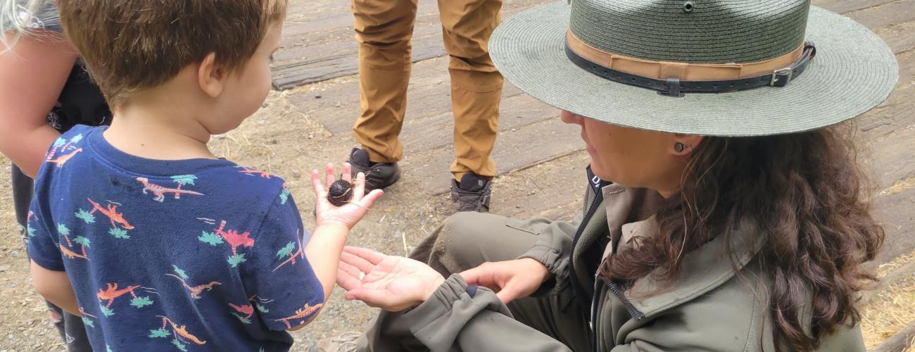 Female presenting Interpretive Specialist with a ranger hat and green jacket showing a child in a blue shirt with dinosaurs on it a slug. 