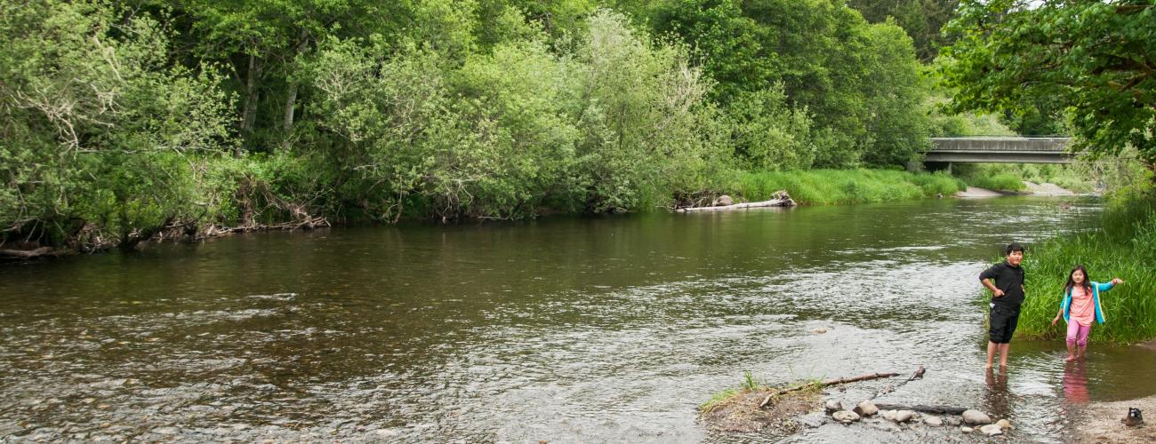 A wide angle photo of a green river in the woods and two children at the edge.