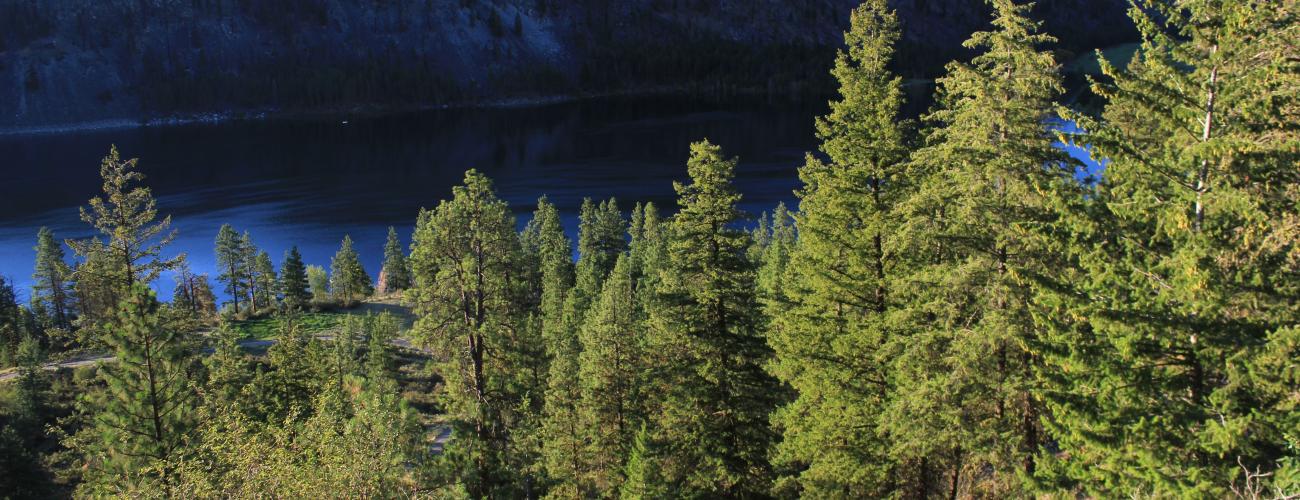 view of deep blue lake below forested hillside