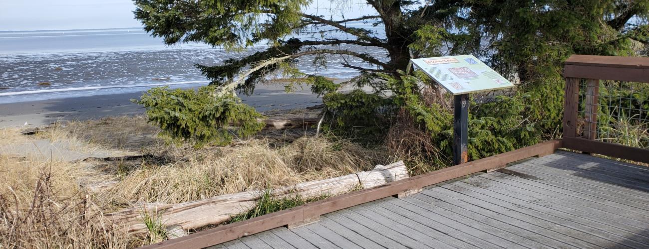 boardwalk with interpretive sign near beach and mudflats