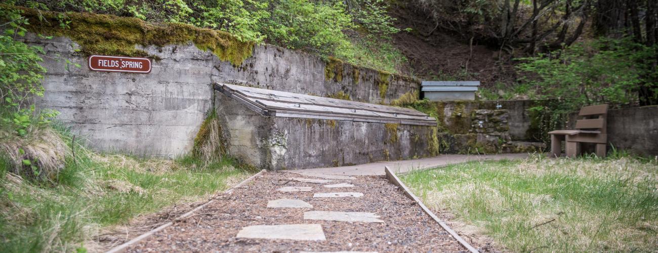 path leading to wooden box sheltering spring water