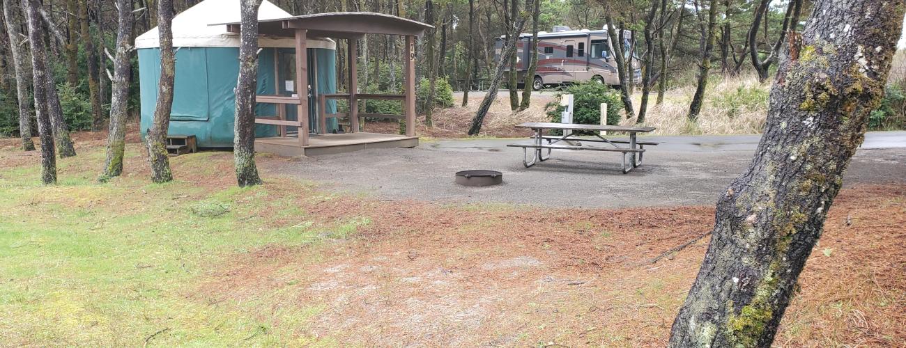 yurt and motor home in forest of small trees