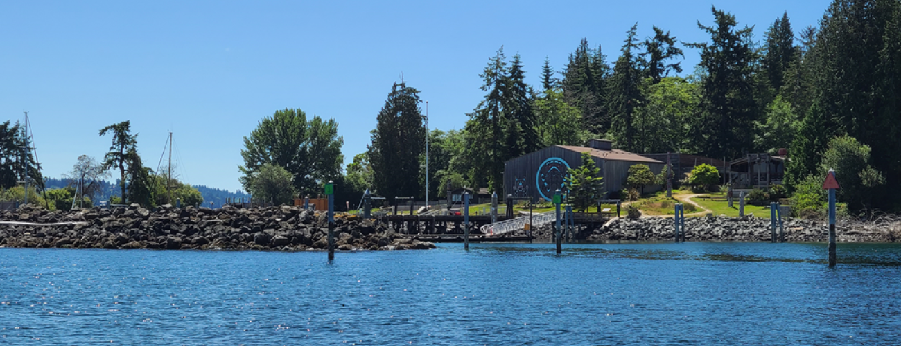 Looking over calm water towards the marina with large building with indigenous art design and tall trees