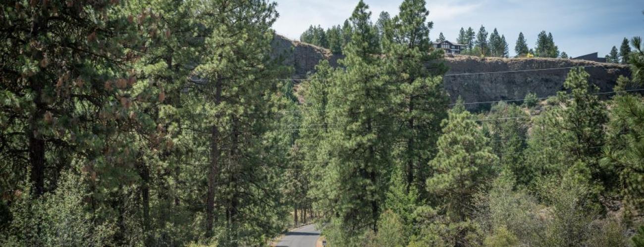 Asphalt trail going into the distance surrounded by tall green trees overlooked by a house on top of a ridge 