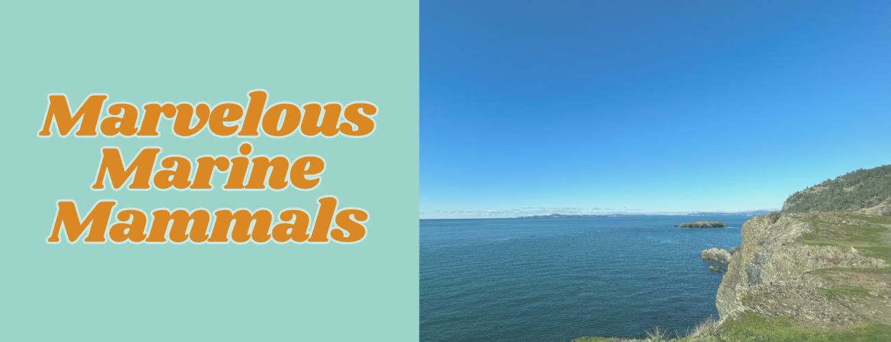 Teal background color with orange text. On right, image of bluff with ocean in the distance. 