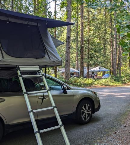 A tent on the roof of a Subaru Outback with a ladder below in a wooded campsite and day tents in the background