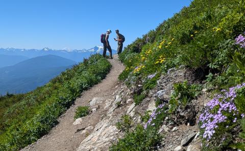 A couple stands on a trail with mountains in the background and wild purple phlox in the foreground.