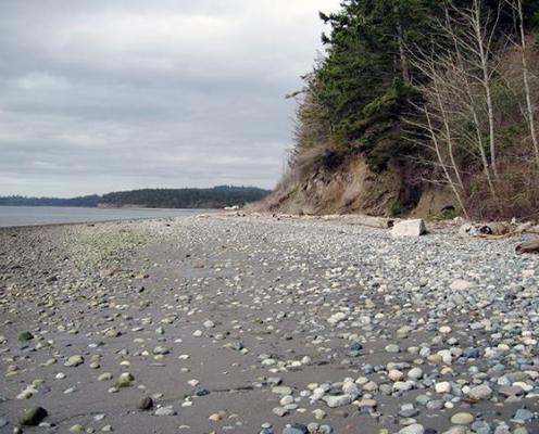 Rocky beach at Kinney Point State Park Property. The beach stretches the foreground of the photo with the water to the left and forested area to the right. The beach is rocky with some driftwood. The forested area has evergreens and leafless deciduous trees visible. 