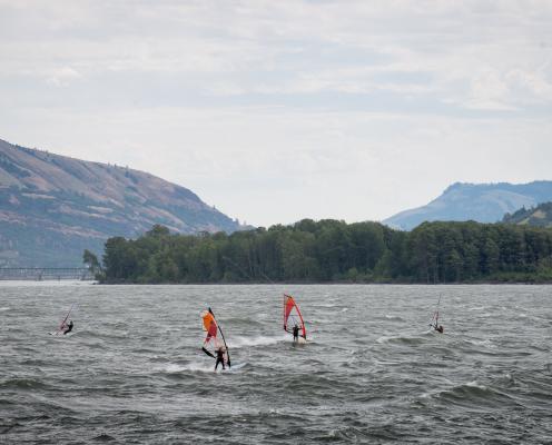 Fours windsurfers out on the windy waters.