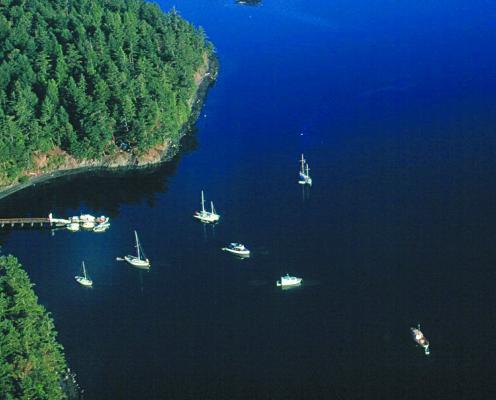 Aeiral view of the boats sitting in the water with a tree island on the left edge.