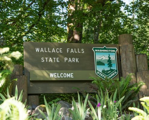 Wallace Falls State Park wooden entrance sign with the state park shield and the world "welcome" on it. In the background  there are lush green trees and in front of the sign are ferns and other green plants. 