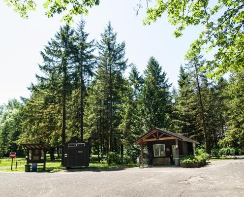 Two dark brown wood structures and a bulletin board sit at the edge of asphalt with green grass and tall evergreen trees behind them. 