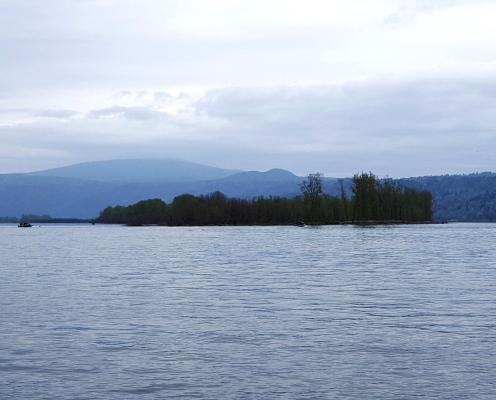 Reed Island State park across the water.