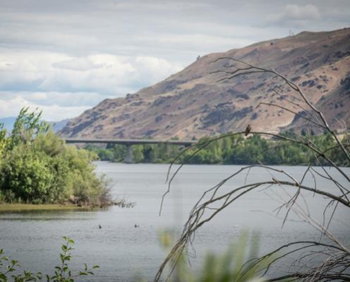 A shrub-covered high desert hillside rises above the pale gray Wenatchee River. The water, which is reflecting the cloudy sky, is spanned by a narrow bridge reaching across to the bush-covered shore opposite the hillside. In the foreground, branches of bushes can be seen .