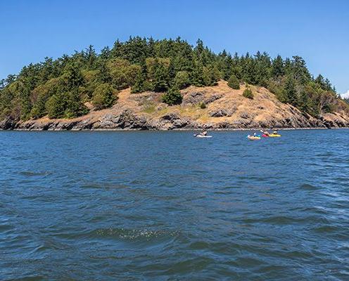 Skagit Island from a distance 