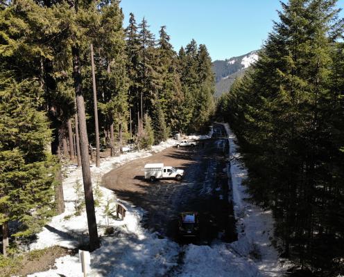 Plowed forest road leading to a plowed parking area surrounded by a tall pine forest. 