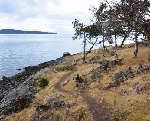 A trail winds through a meadow on a bluff above a beach with an island in the background.