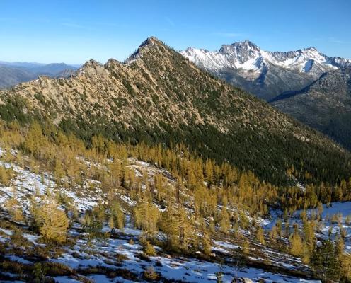 A valley with golden larch trees and snowy mountain in the background