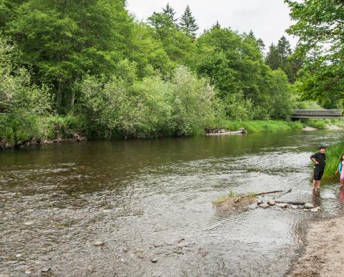 A wide angle photo of a green river in the woods and two children at the edge.