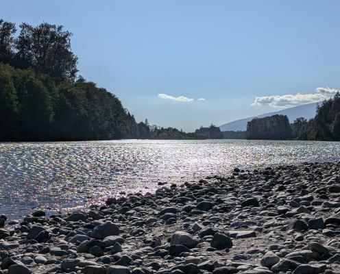 A river with a pebble beach in afternoon sunlight.