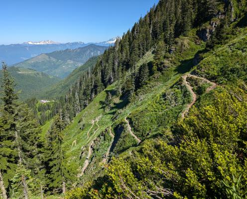 switchback trail up the side of a steep, green mountain