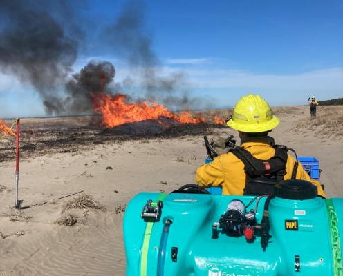 firefighter overseeing a prescribed burn to improve habitats at the beach