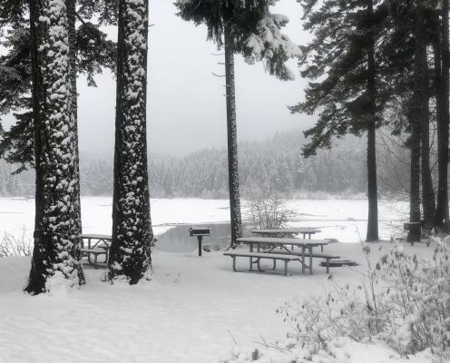 A picnic bench by a lake in snow with trees.