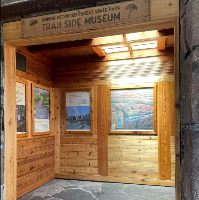 Ginkgo Petrified Forest State Park museum 