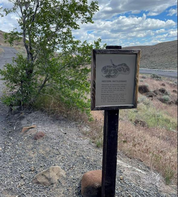 Snake sign at Ginkgo Petrified Forest State Park